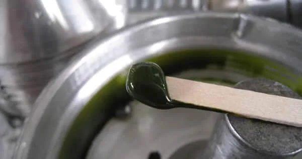 Algae biomass Concentrate